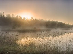 IMGP8356_HDR_Morgenstemning